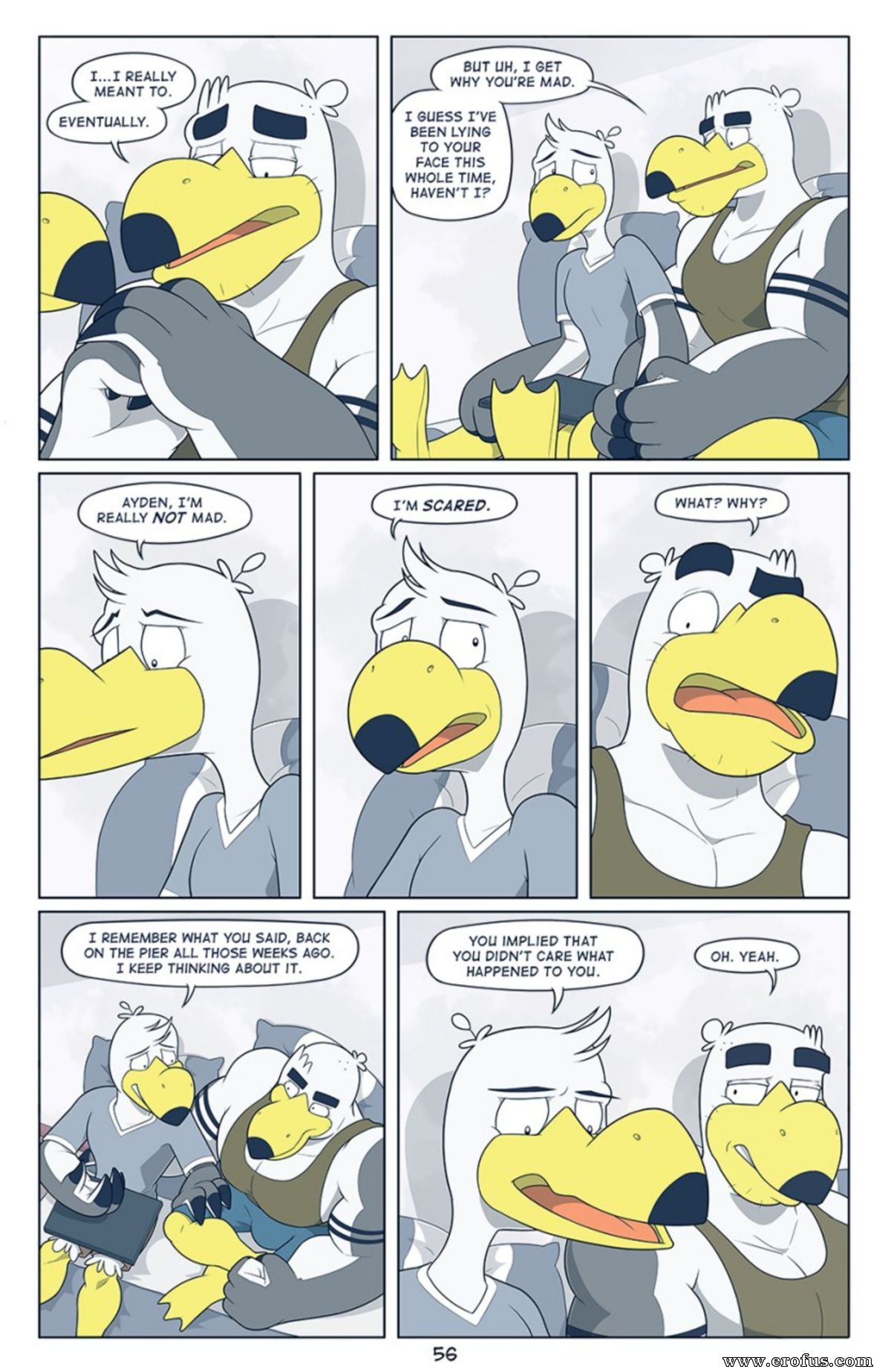 picture 56.png