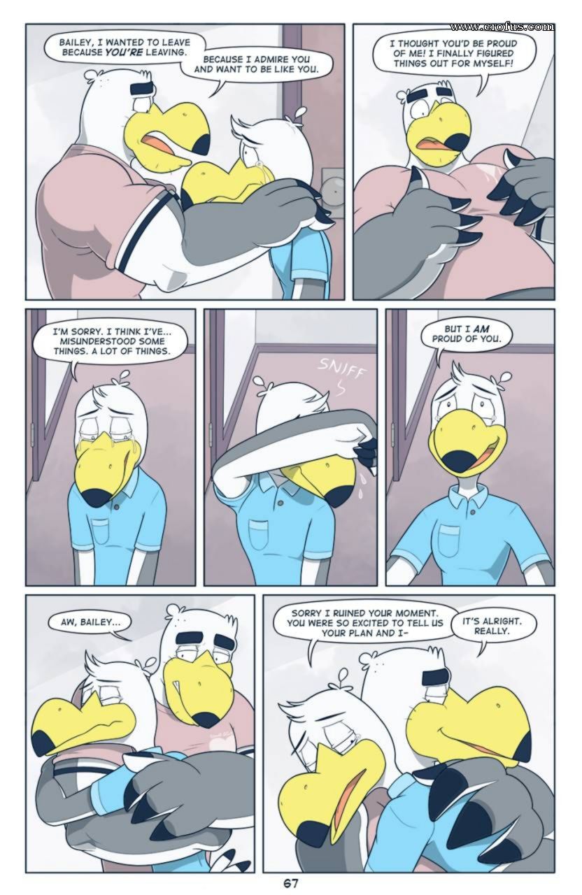 picture 67.png