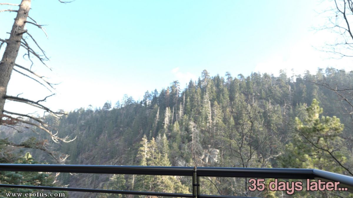 picture 34.jpg