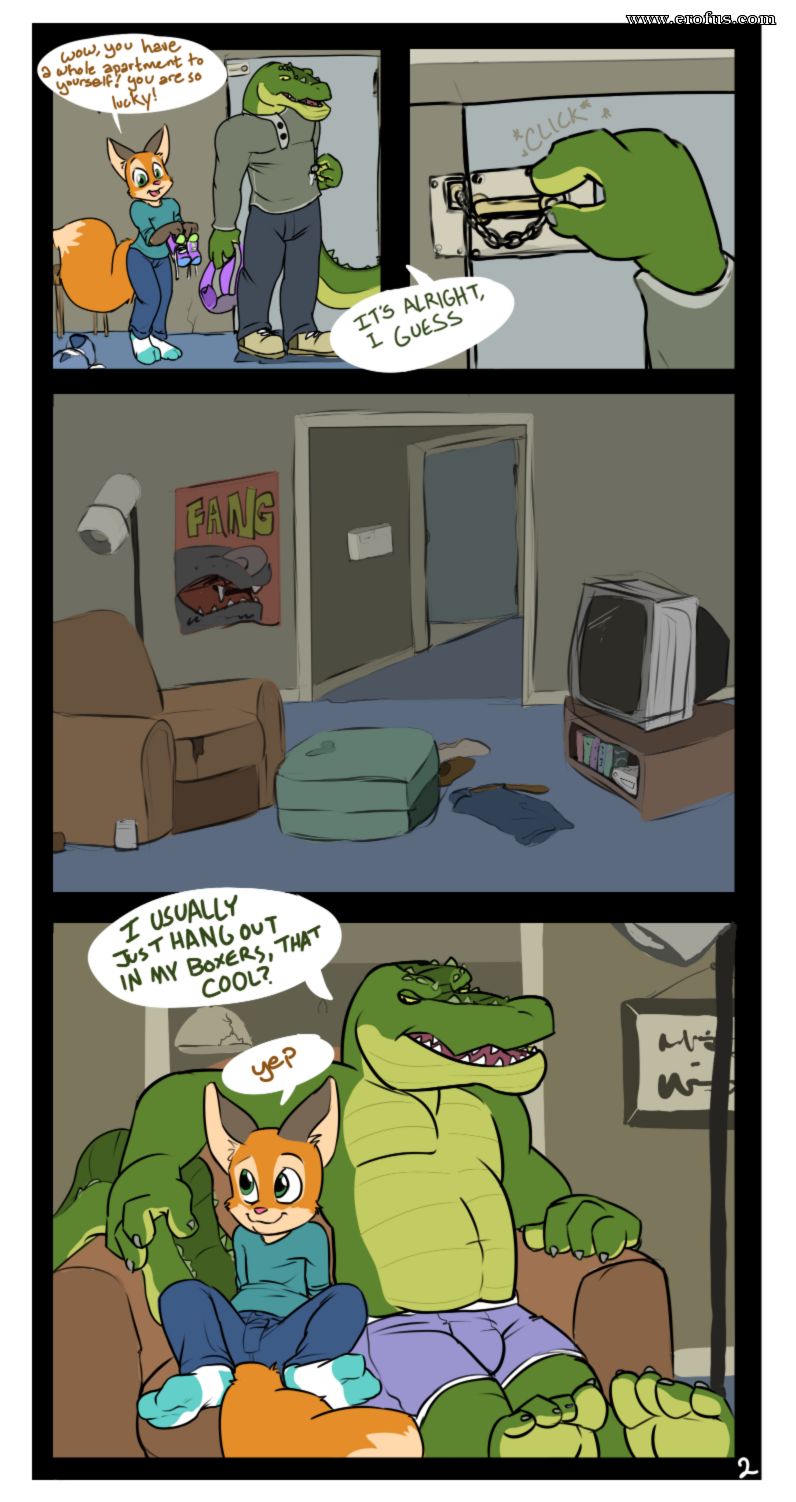 picture 02.png