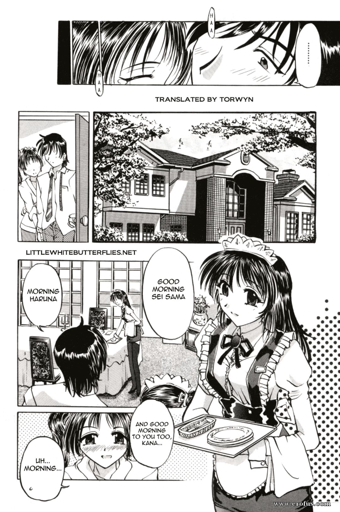 picture 04.png