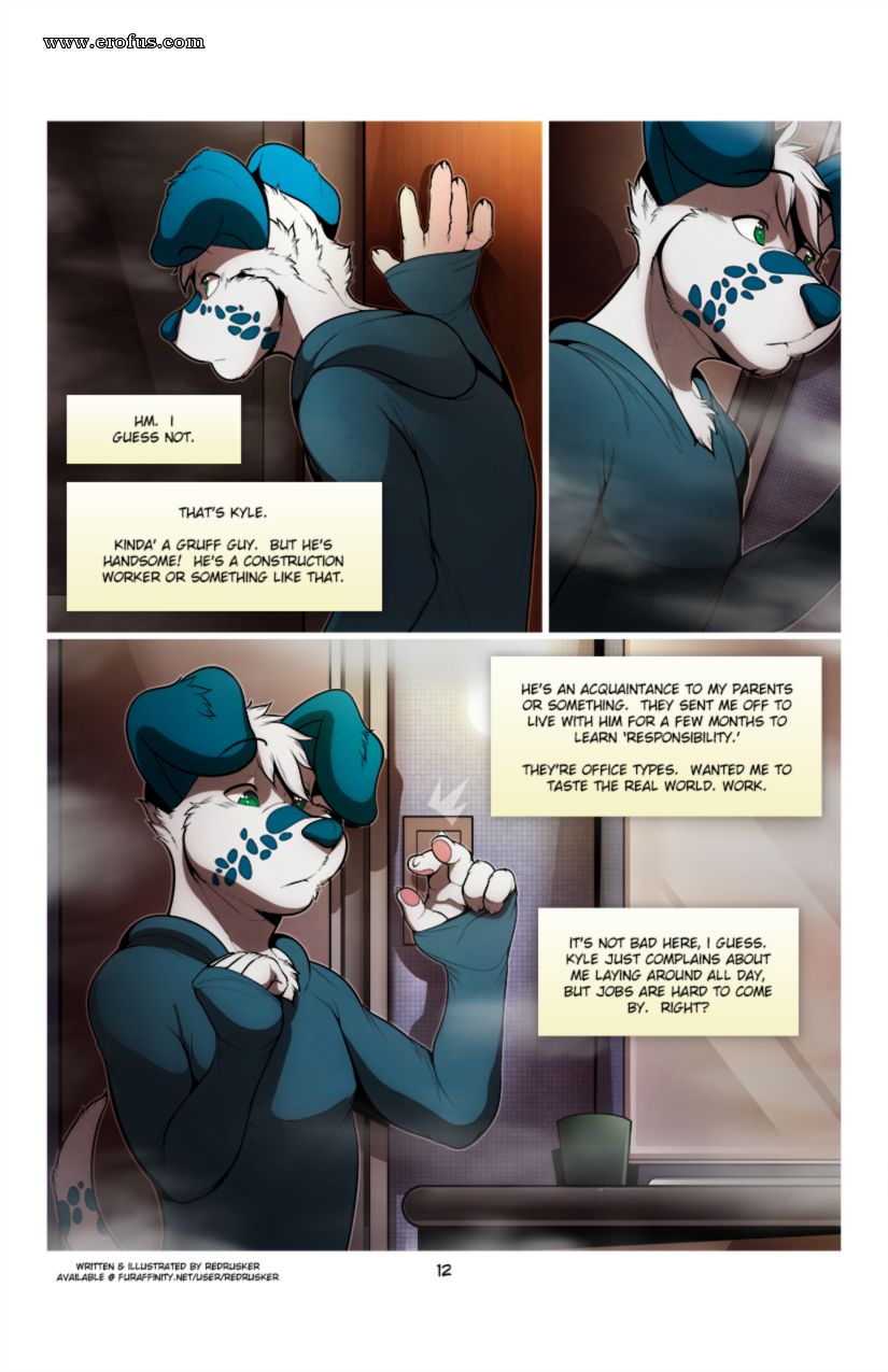picture 12.png