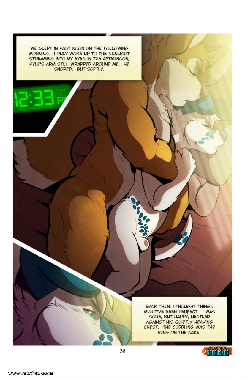 picture 36.png