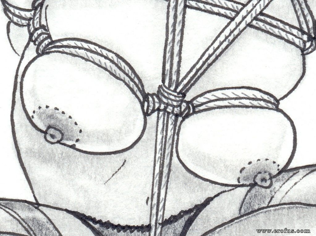 picture 81.JPG