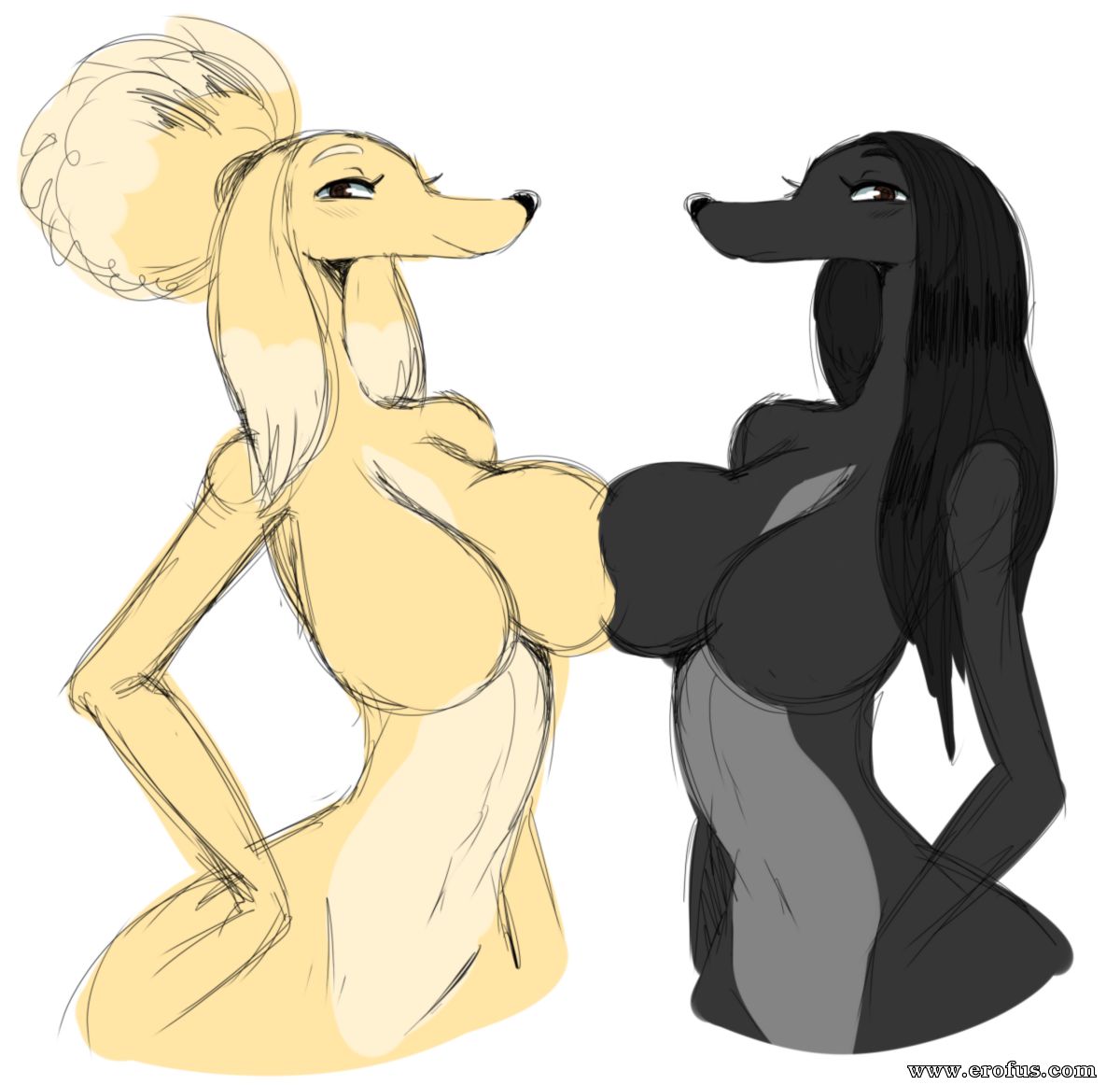 picture 92.png