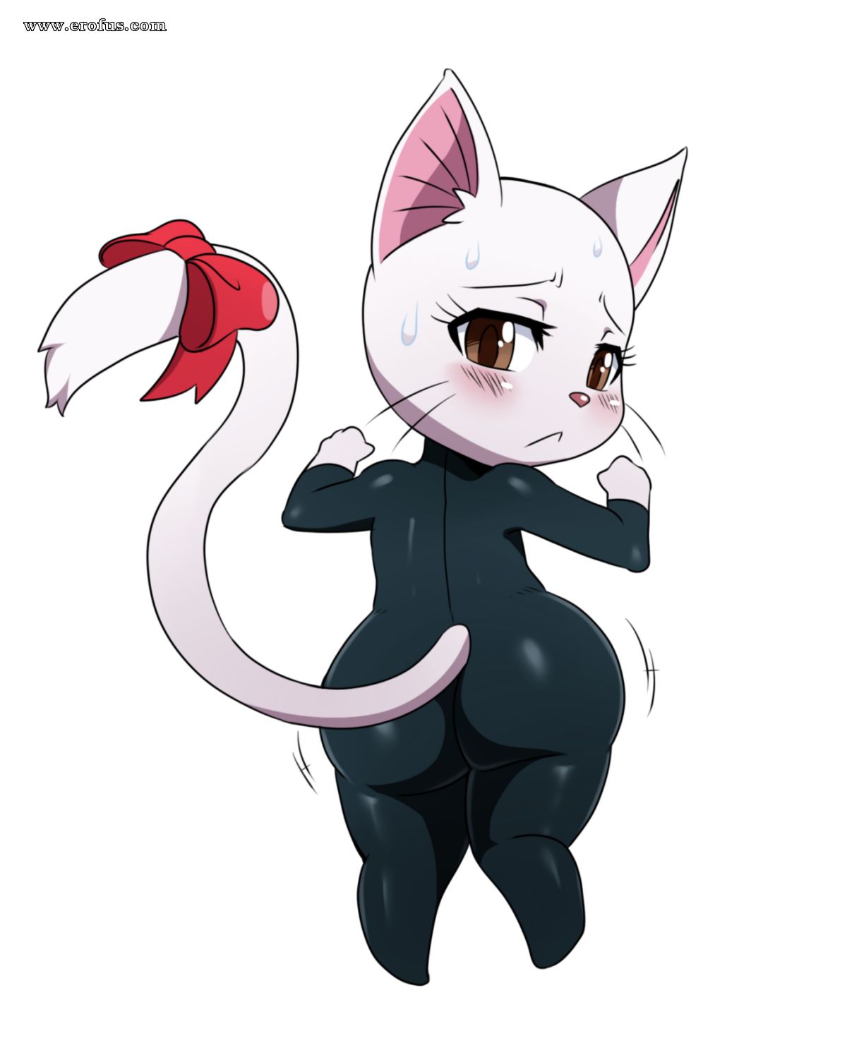 picture 11.png