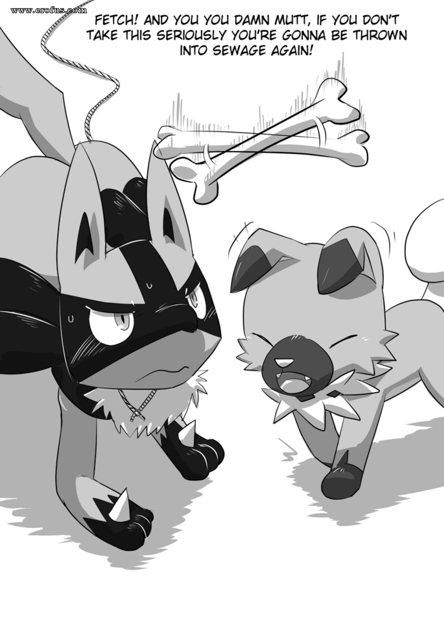 picture 10.png