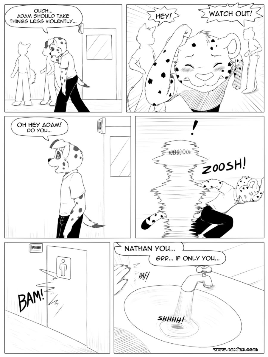 picture 06.png