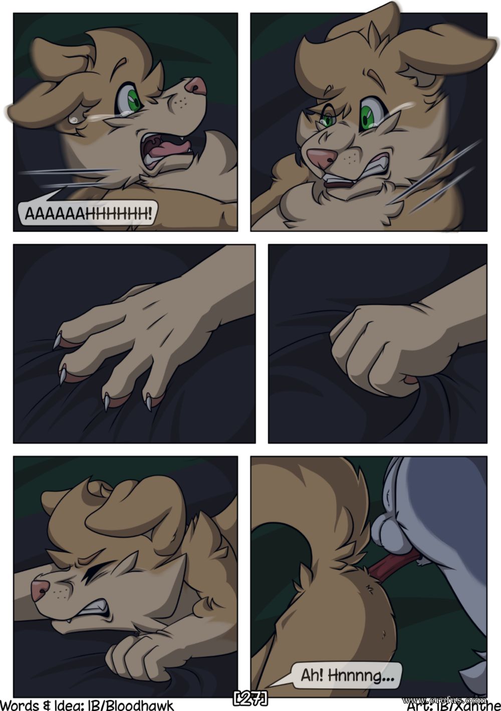 picture 27.png