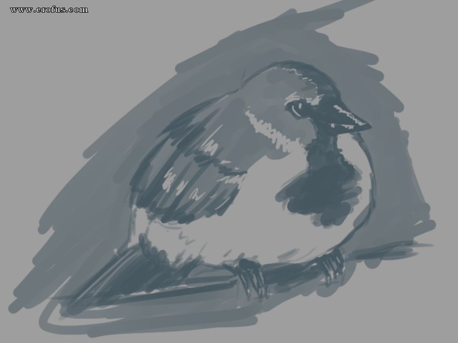 picture 98.png