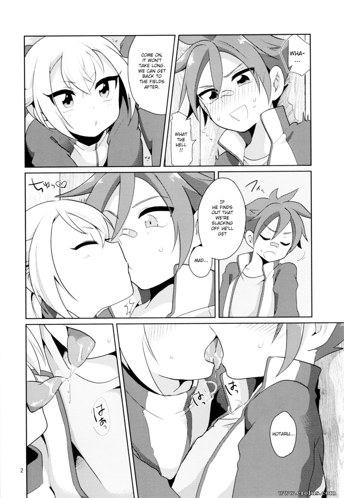 picture 02.png