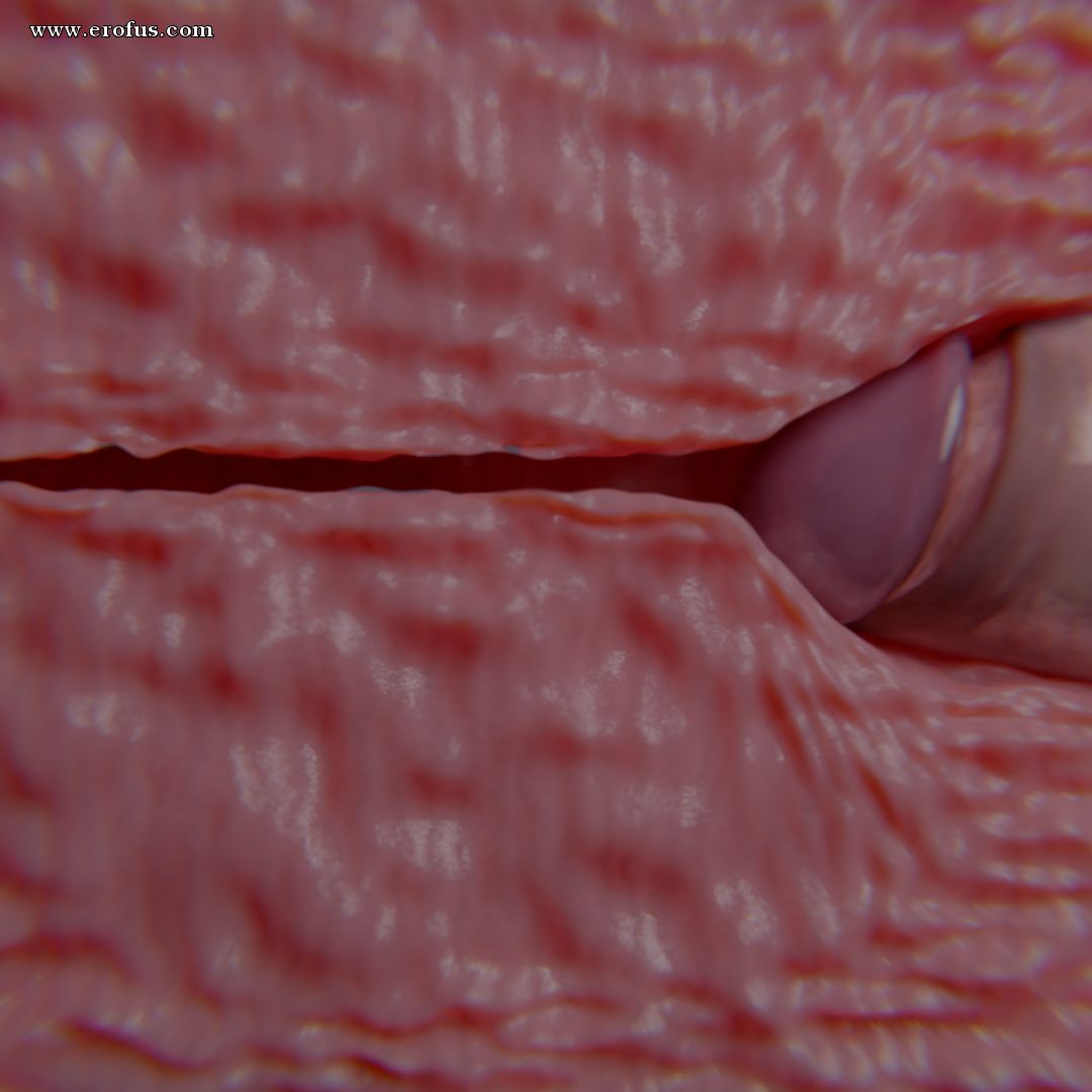 picture 21.png