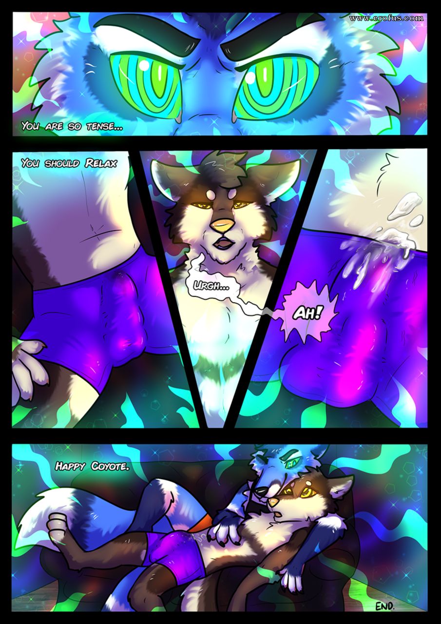picture 06.png