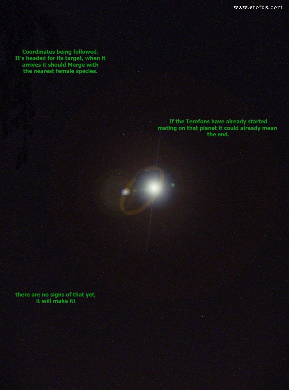 picture 08.jpg