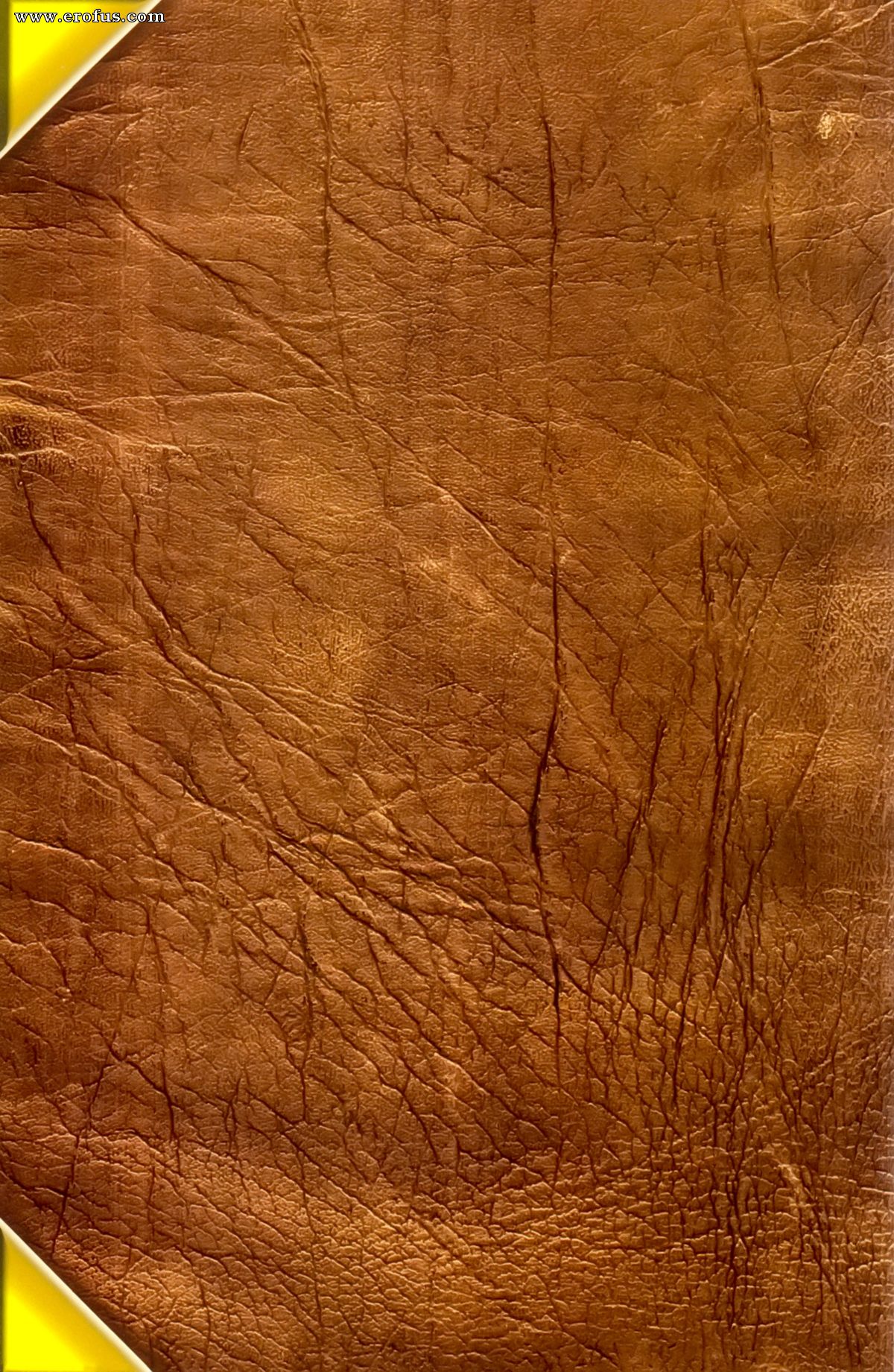 picture 35.jpg