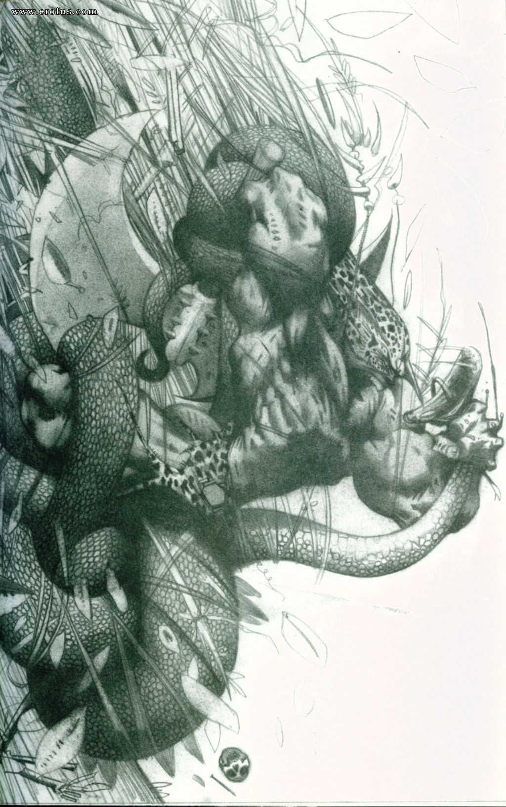 picture 29.jpg