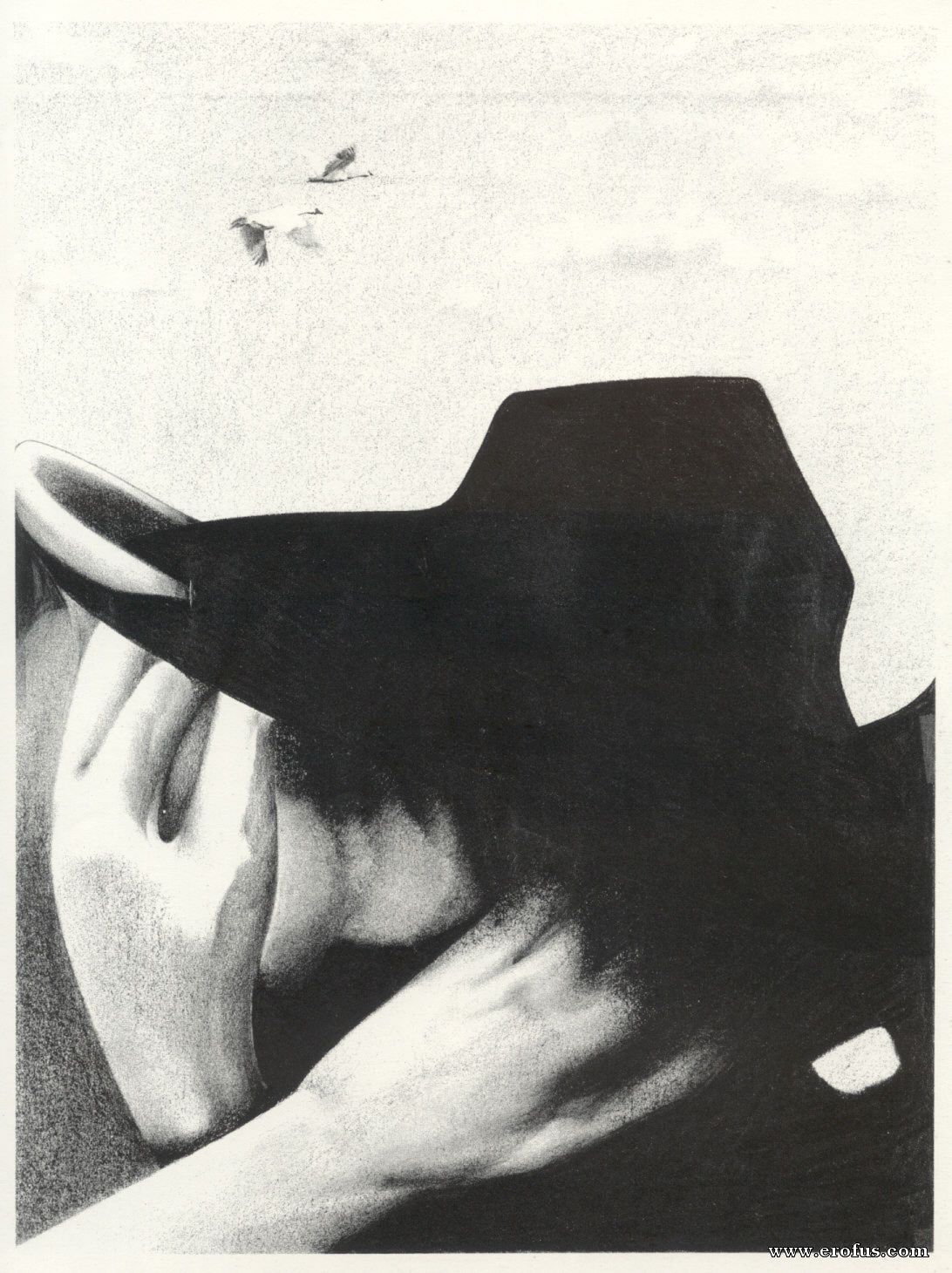 picture 40.jpg