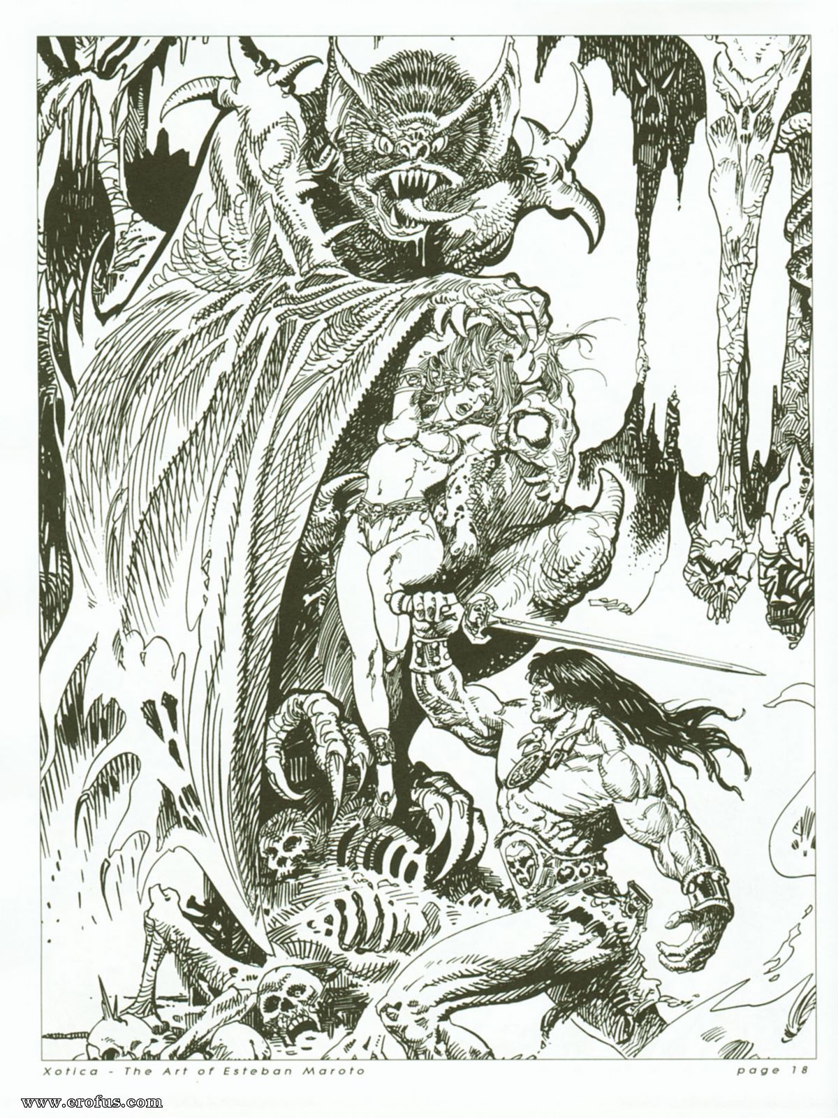 picture 18.jpg