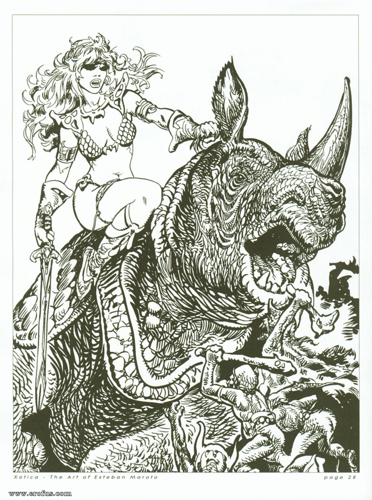 picture 27.jpg