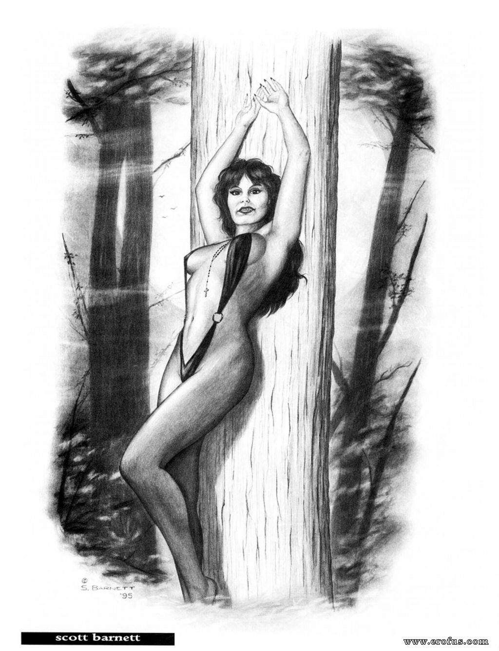 picture 15.jpg