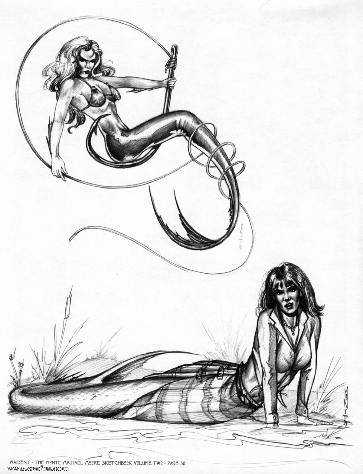 picture 40.jpg