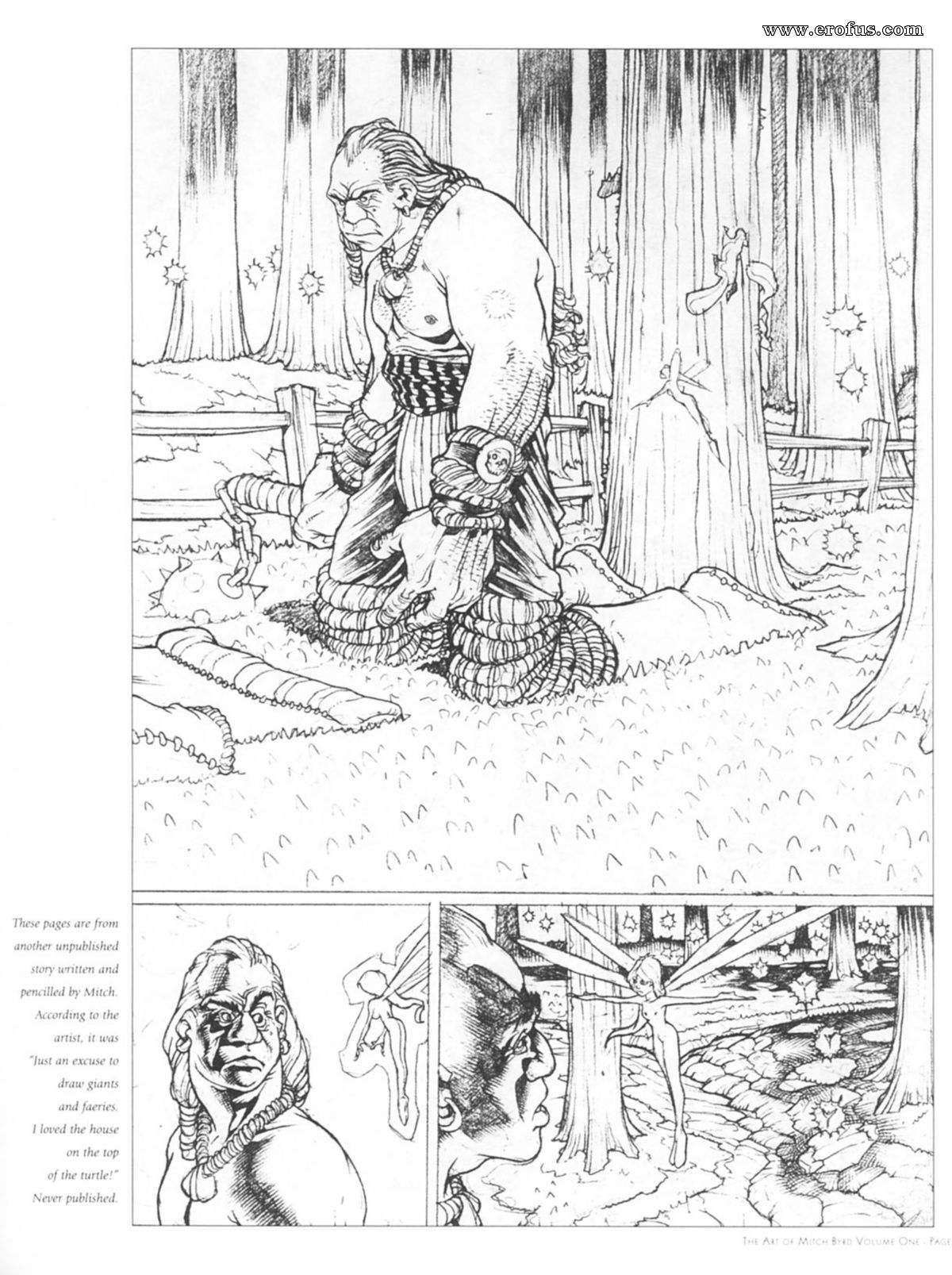 picture 33.jpg