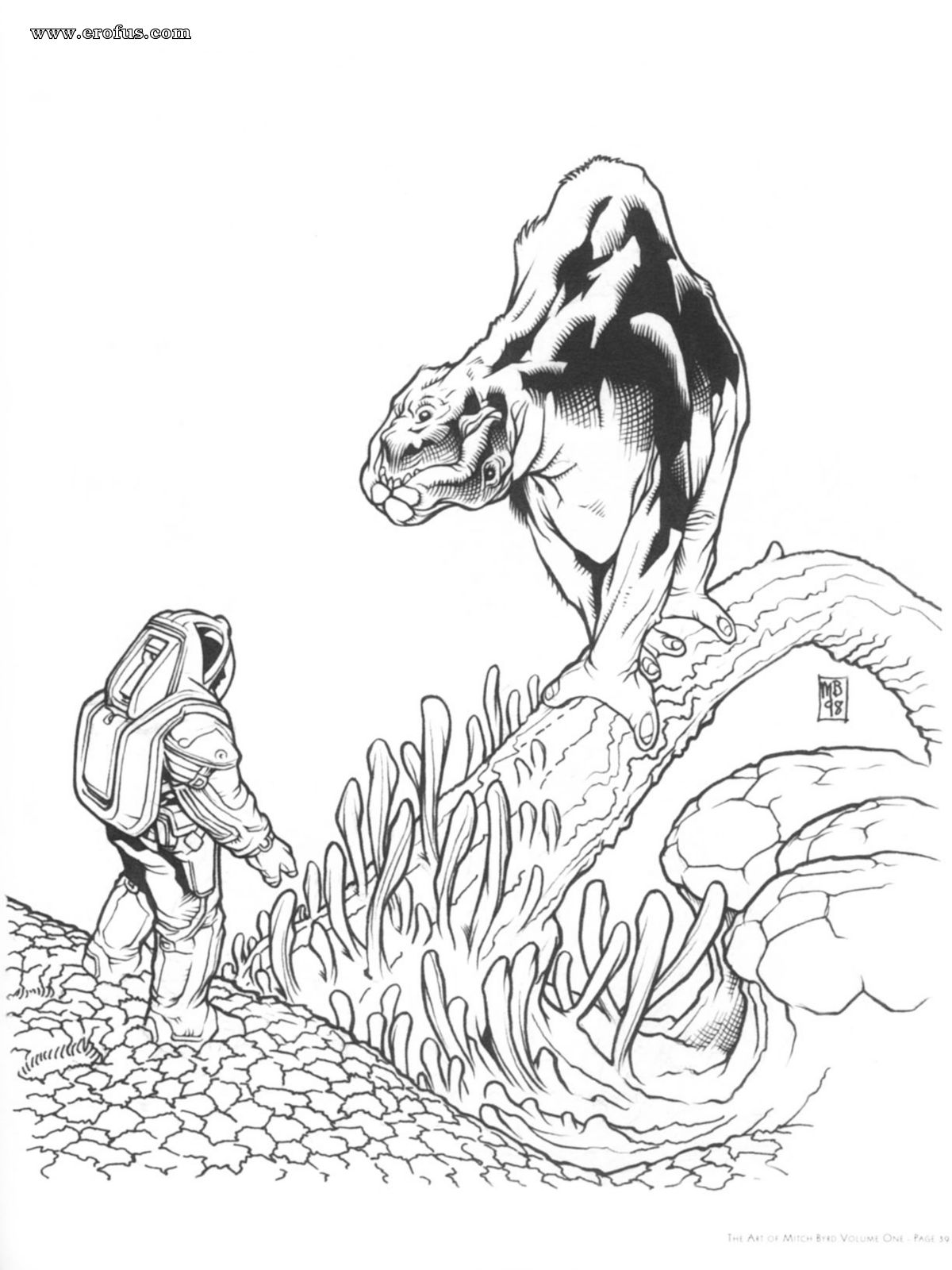 picture 41.jpg