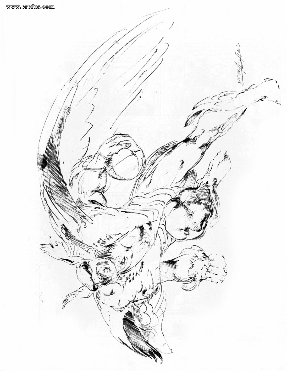 picture 15.jpg