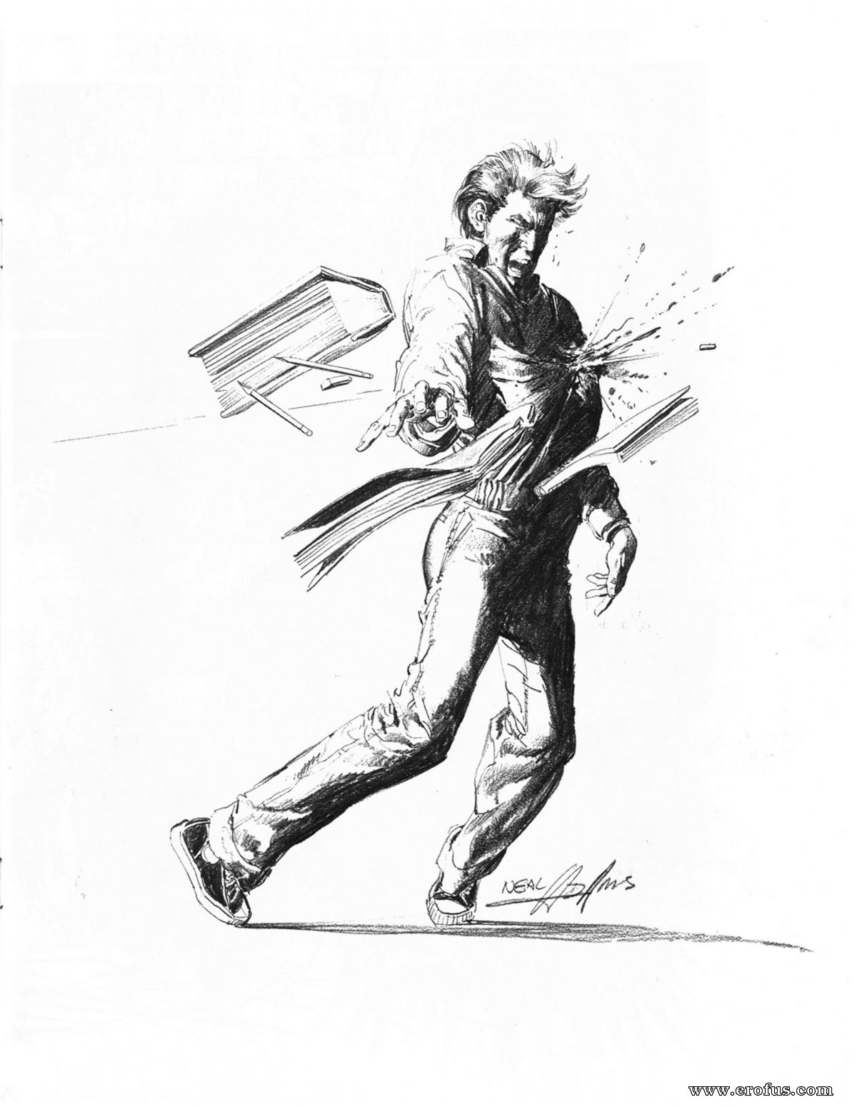 picture 17.jpg