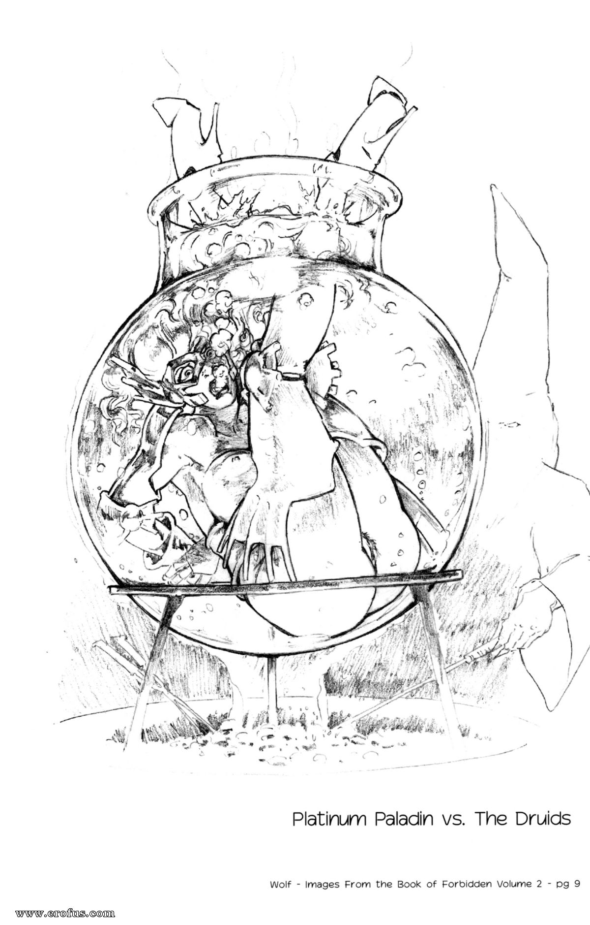 picture 11.jpg