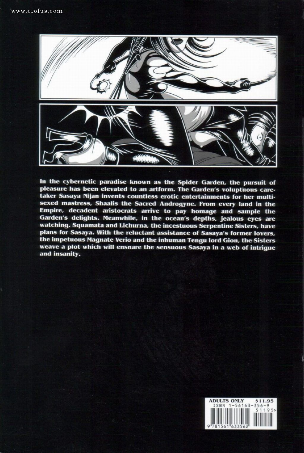 picture 73.jpg