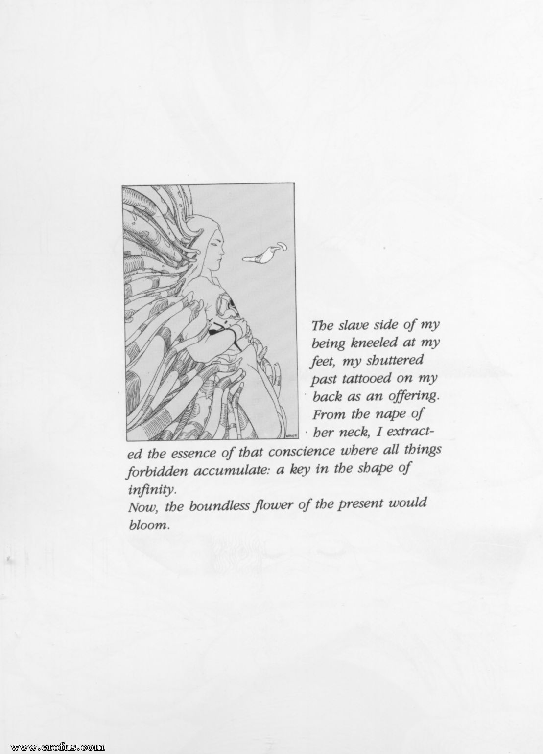picture 22.jpg