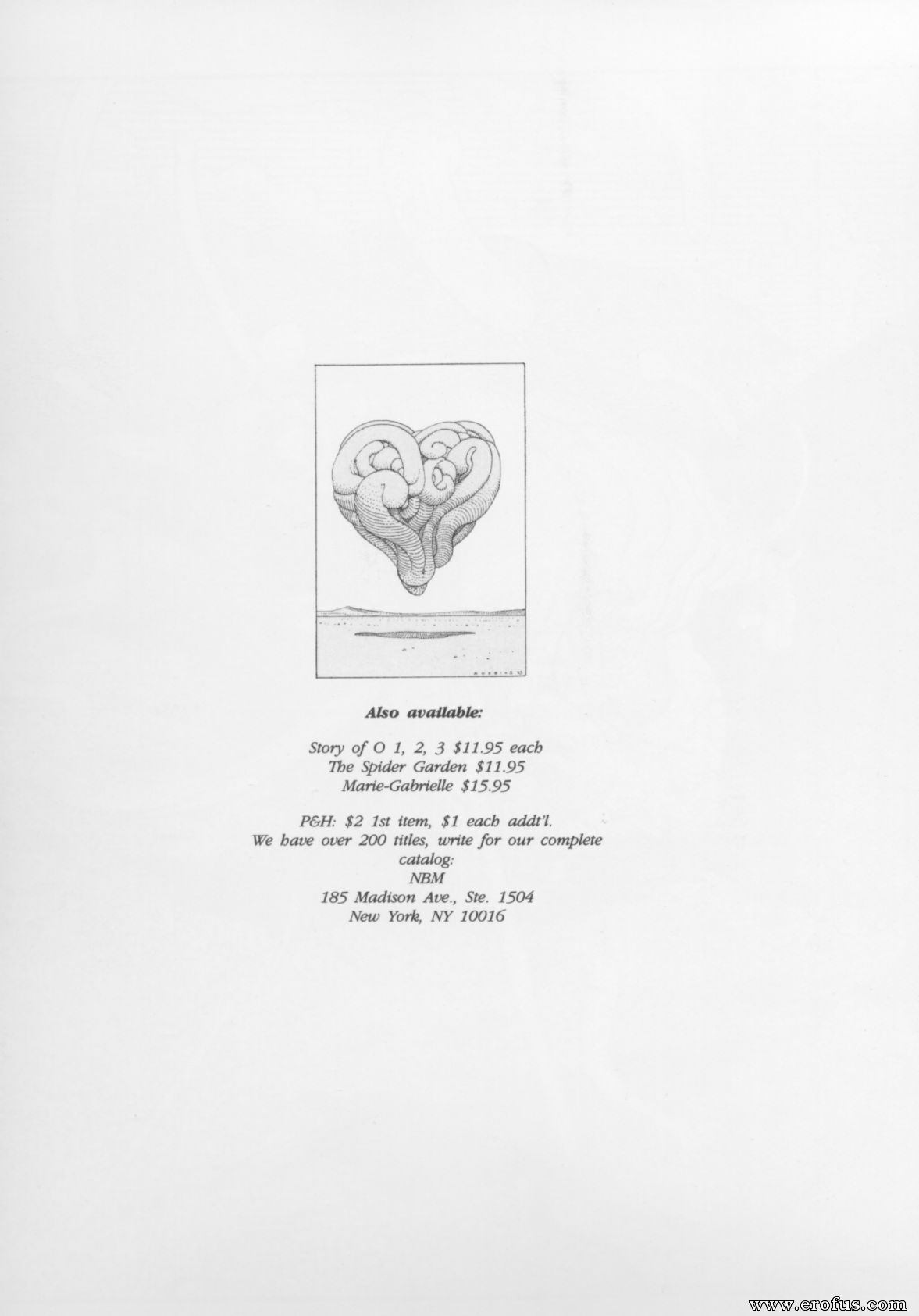 picture 72.jpg