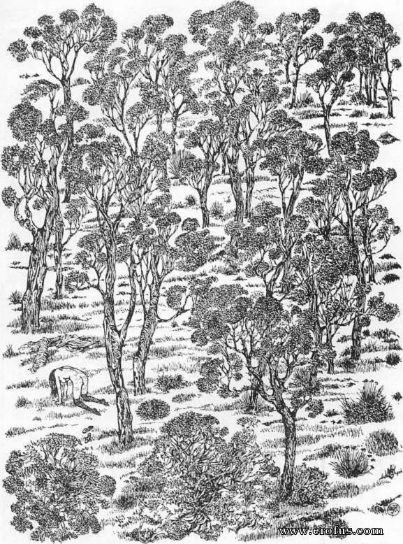 picture 60.jpg