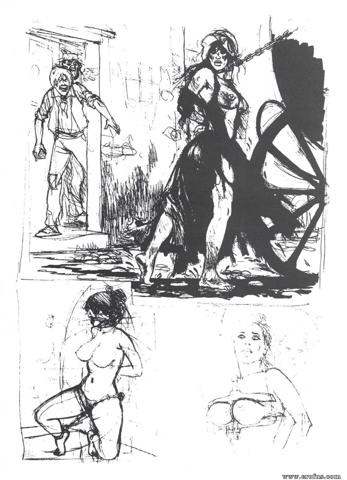 picture 12.jpg