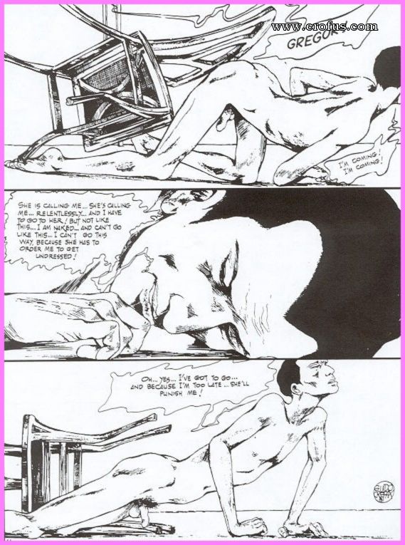 picture 46.jpg