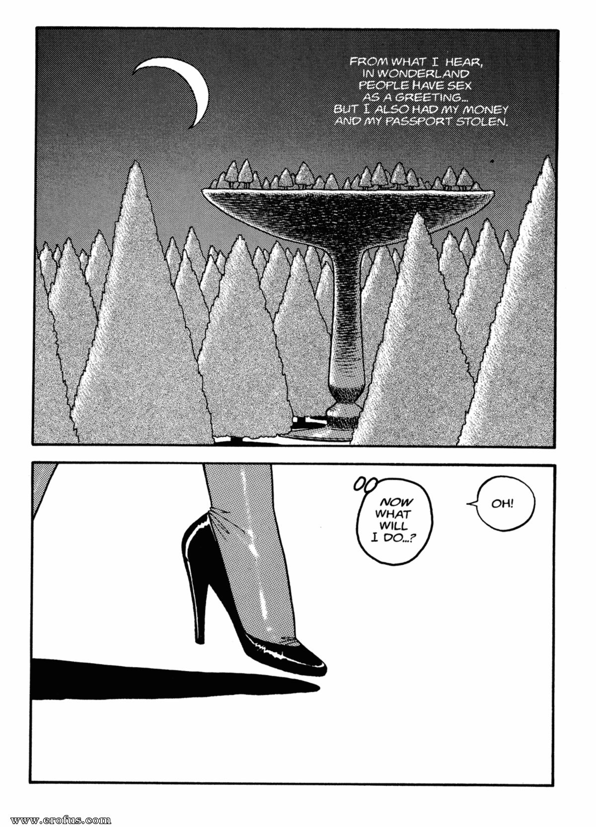 picture 52.png