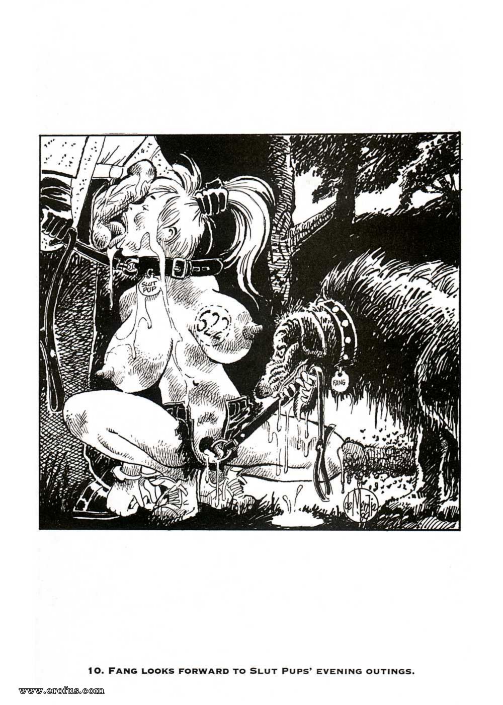 picture 12.jpg