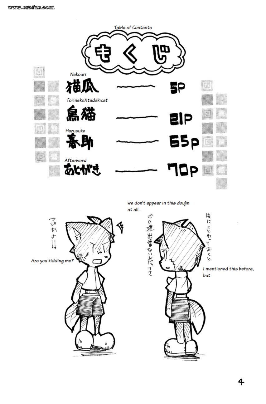 picture 03.png