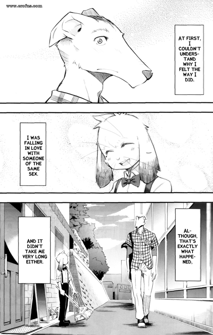 picture 05.png