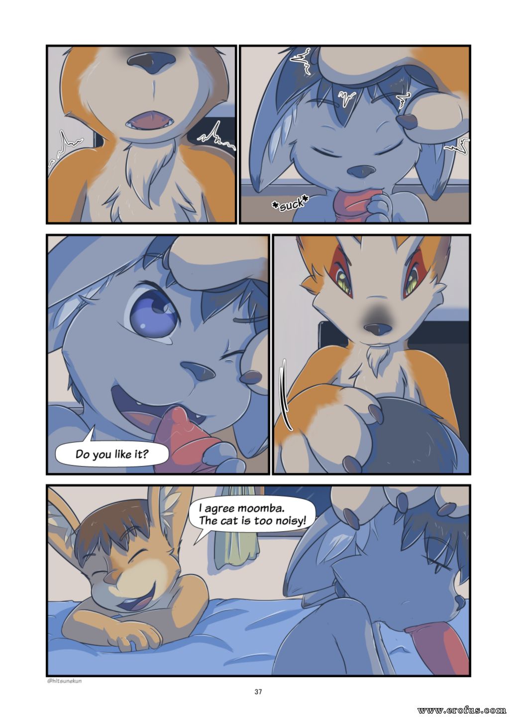 picture 36.png