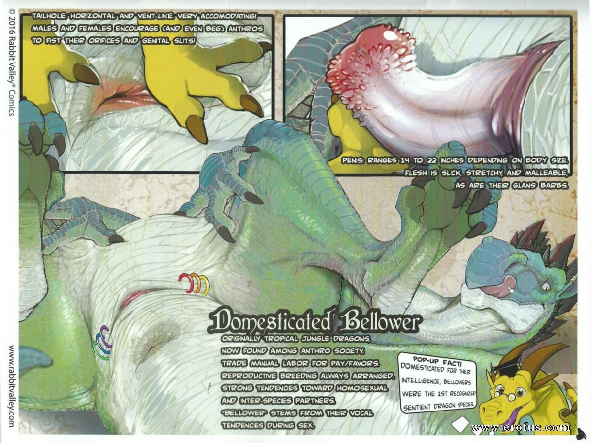 picture 31.jpg