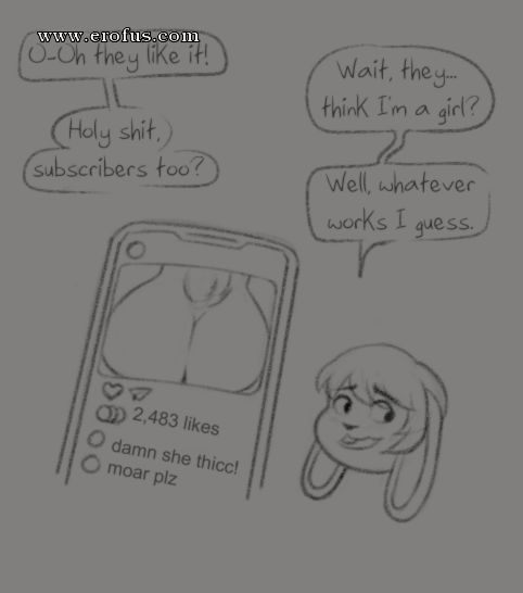 picture 03.png