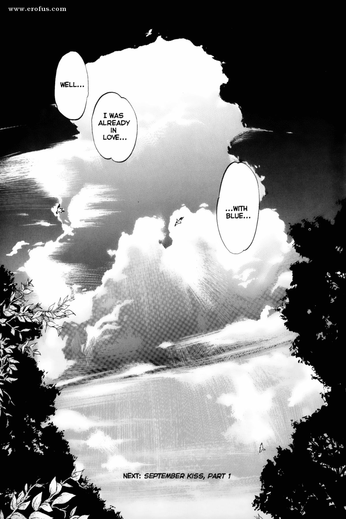 picture 37.png
