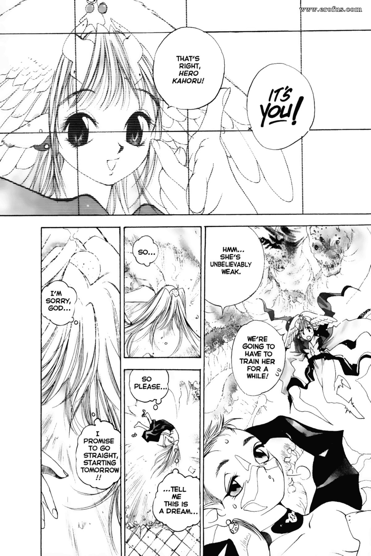 picture 24.png