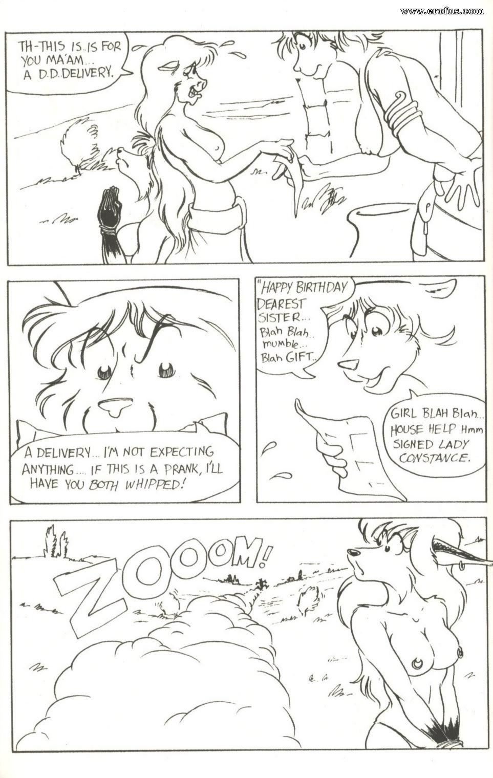 picture 13.jpg