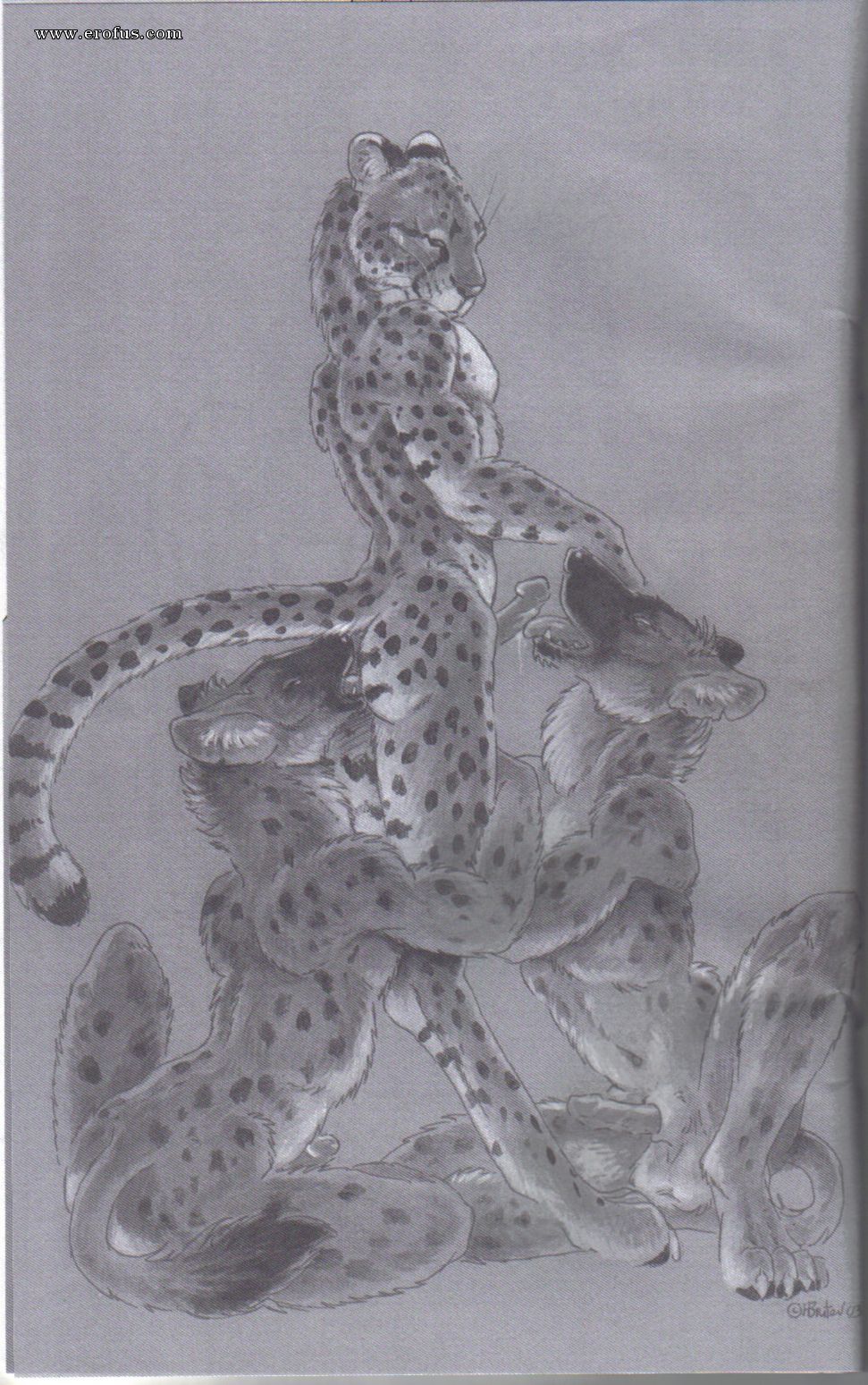 picture 23.jpg