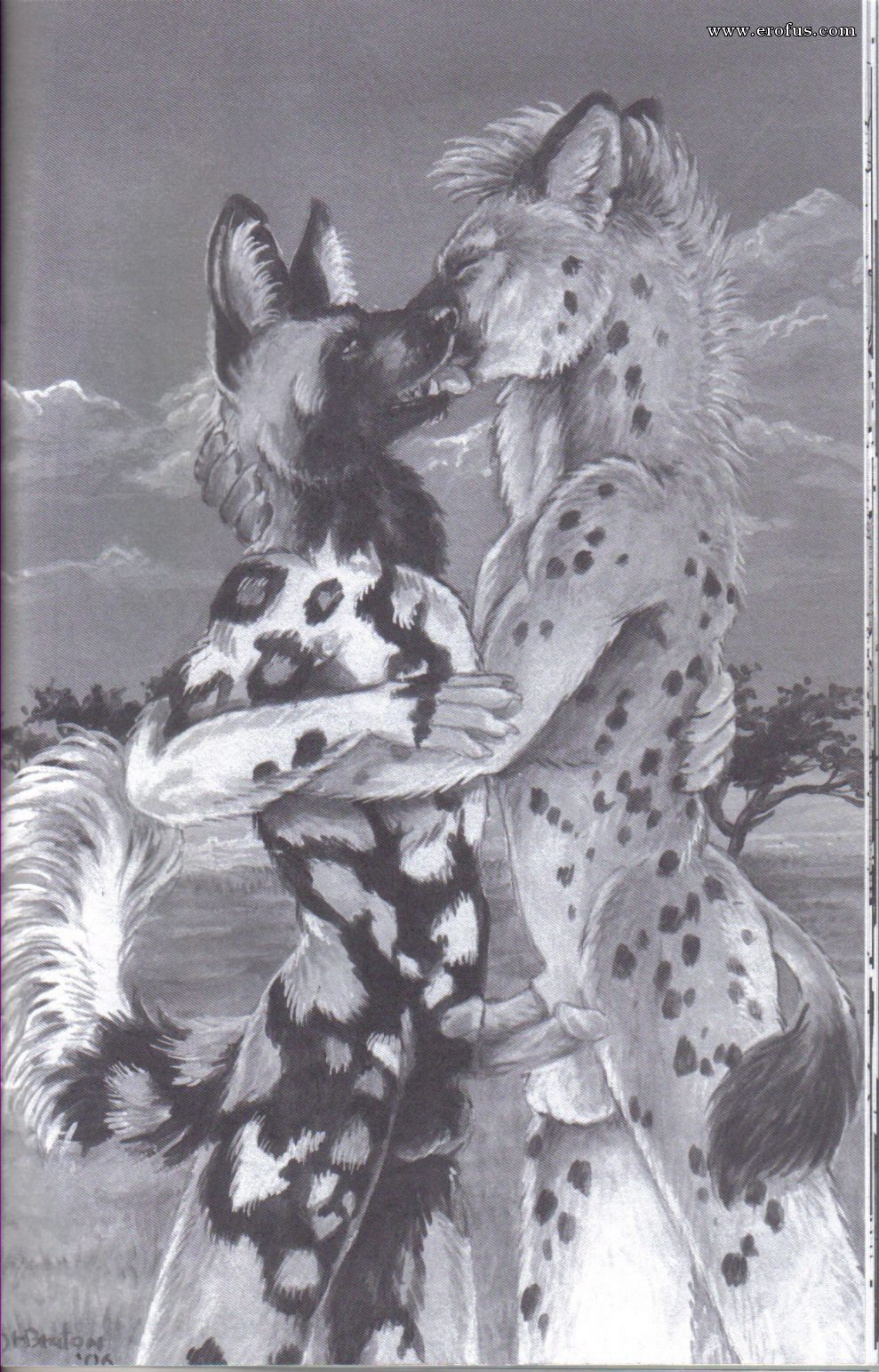 picture 24.jpg