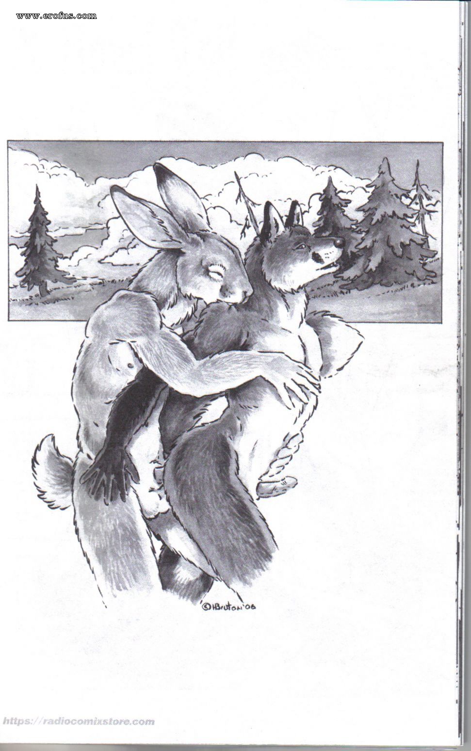 picture 26.jpg
