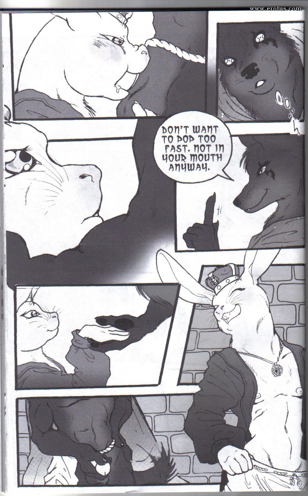picture 33.jpg